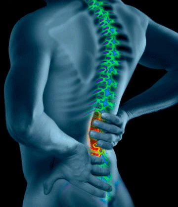 King Chiropractic